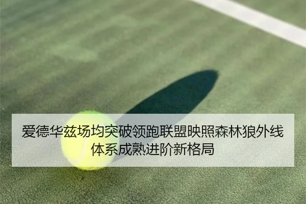 爱德华兹场均突破领跑联盟映照森林狼外线体系成熟进阶新格局